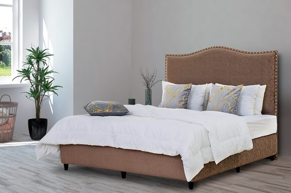 Dream Shadow Bed